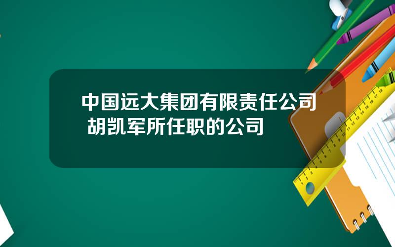 中国远大集团有限责任公司 胡凯军所任职的公司